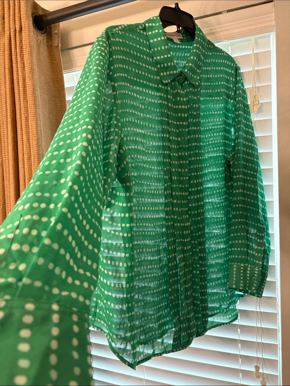 Coldwater Creek Green Dot-Stripe Button-Down Shirt 2X